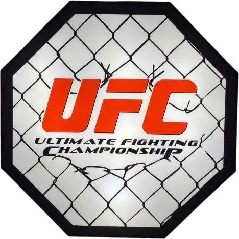 UFC Fighting MMA LED Neon Sign Wall Art (12x12 inches)